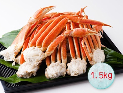 【鮮凍】食感 松葉蟹腳1.5kg冬味絕品年節活動價